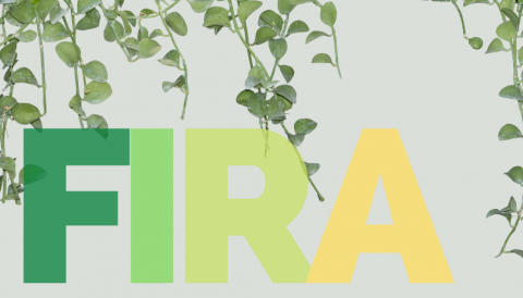 FIRA